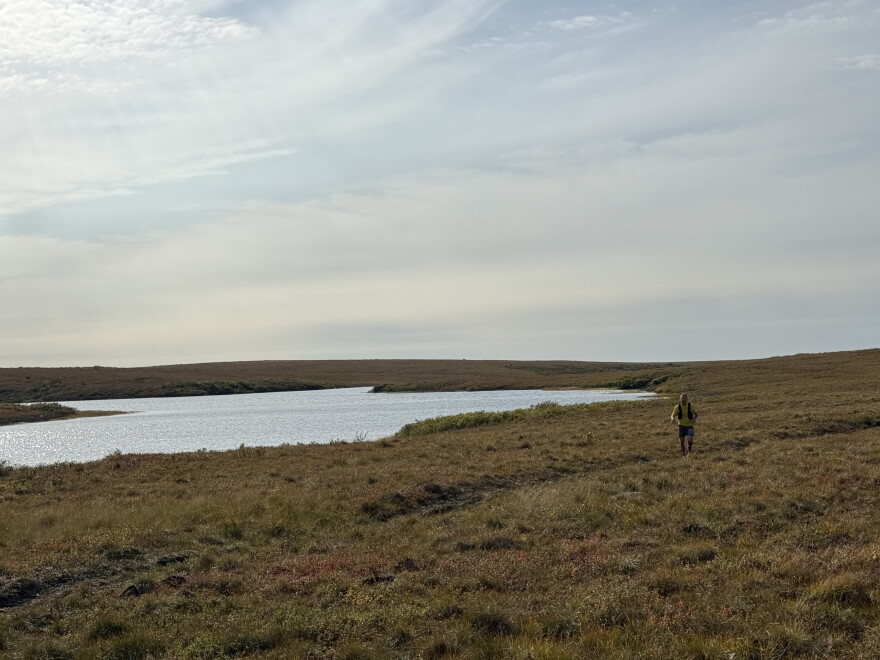 Marathon runner, Kris Rose, finishes the tundra crossing, near mile 19 of the marathon.
