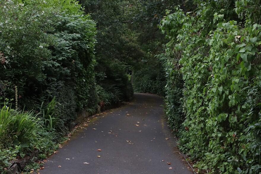 A path near Onyx and 29th Place, about a ten-minute walk from the rehab facility. Eugene Police say they found Petitti's body in this area on July 8.