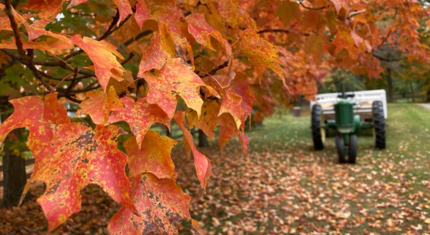 A tractor sits next to a tree in a farm field in Delaware County, Ohio.