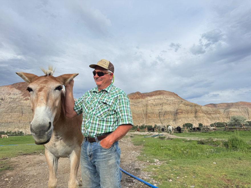 A man with a Mile High Outfitters hat stands smiling next to a mule. There are horses grazing nearby and tall rocky outcroppings in the distance.