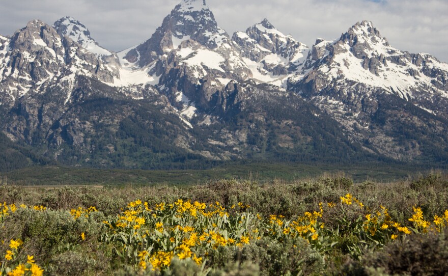 Yellowstone is located along the northern border of Grand Teton National Park. Visitors often visit both parks, traveling back and forth between the two, including 7.1 million visitors in 2020.