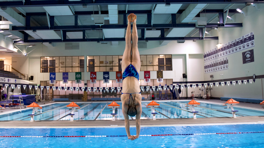 An image of Krysta Palmer diving into a pool