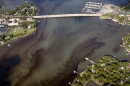A harmful algal bloom detected in the Lafayette River in July 2026.