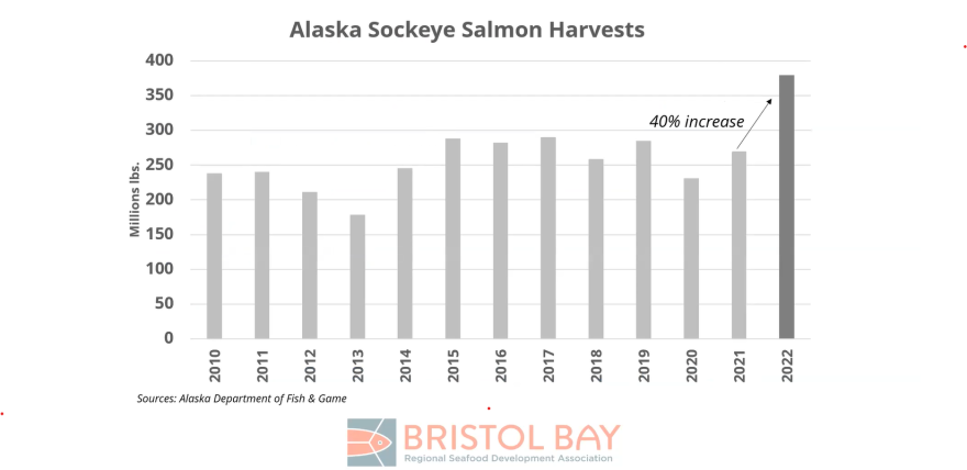 Bristol Bay sockeye season plagued with uncertainty over pricing, supply  glut