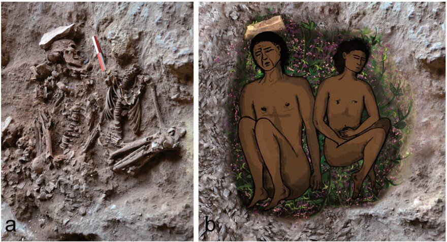 On the left, field photograph of skeletons (adult, on left; adolescent, on right) during excavation. On the right, a reconstruction of the double burial at the time of inhumation. The bright veneer inside the grave on the right, partially covered by green plants.