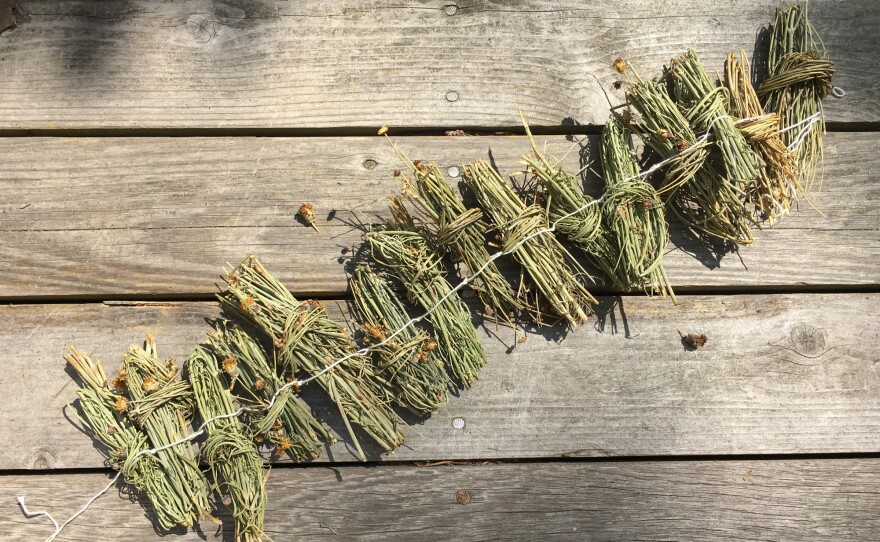 A garland of greenthread. The dried bundles are brewed with sugar or honey.