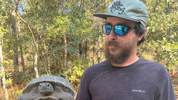 David Harrington, an assistant to FWC Authorized Gopher Tortoise Agent Anna Hackney, holds a gopher tortoise relocated from a disturbed site in Okaloosa County. The species is protected under Florida law, and tortoises must be permitted for relocation when development affects occupied burrows.