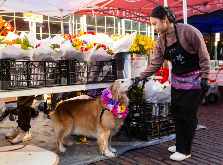 A woman poses a golden retriever with a flower collar outside a flower booth in the Pike Place Market. 