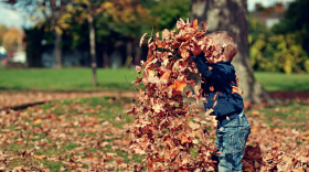 A small child mid throwing a pile of dried leaves in the air. There are also more leaves littering the grass around them.