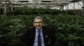 Duke Rodriguez, the president and CEO of Ultra Health, is shown in one of the company’s cultivation facilities in this 2020 file photo. Rodriguez is running for New Mexico governor in 2026.