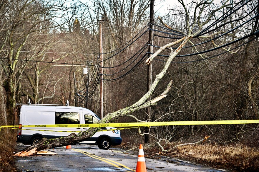 Overnight wind and rain left a downed tree across power lines this morning knocking out power to homes in Mansfield, Connecticut March 17th 2026.