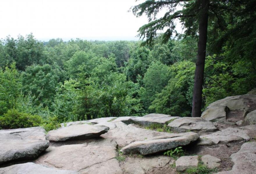 Trailblazers work in pairs to patrol trails in the park, which right now may require some extra caution as the Emerald Ash Borer defoliates trees, causing them to die and possible pose a falling hazard.