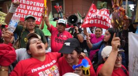 Demonstrators celebrate after Congress voted to remove interim President Jose Jeri as he faces corruption allegations outside the site where lawmakers met in Lima, Peru, Tuesday, Feb. 17, 2026. (AP Photo/Guadalupe Pardo)