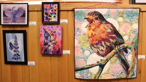 Bird art on display