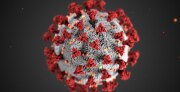 Coronavirus graphic 
