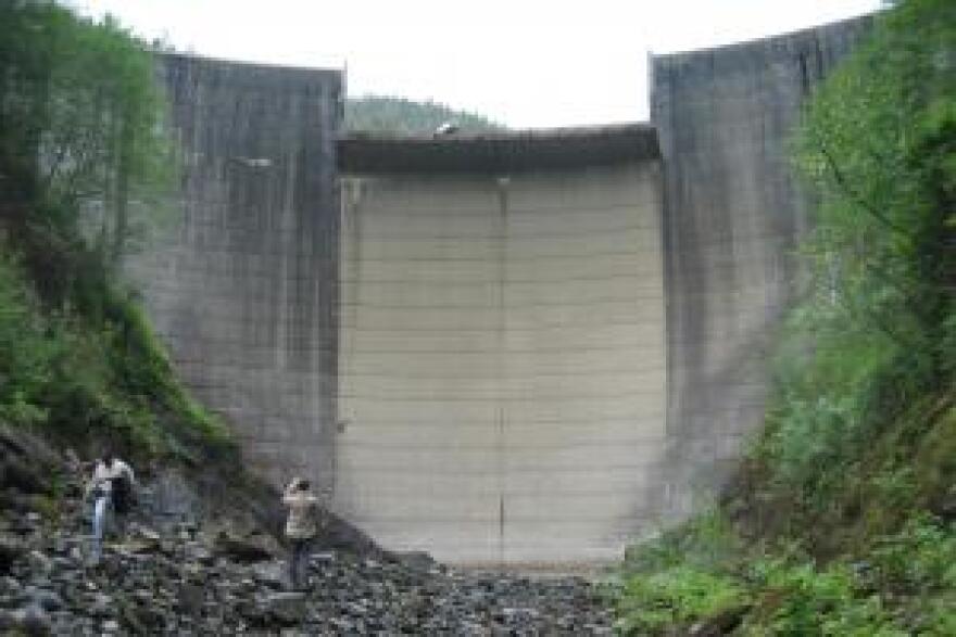 Swan Lake dam supplies energy to Ketchikan. (Photo courtesy of SEAPA Hydro)