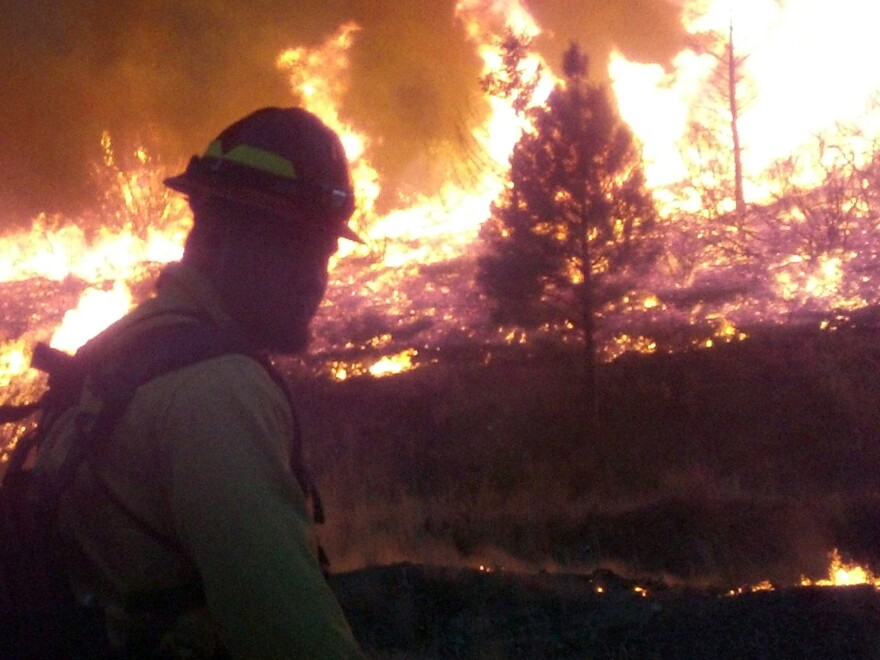 In this photo released by the U.S. Forest Service, firefighters stand watch near the perimeter of the Elk Complex fire near Pine, Idaho, earlier this week.