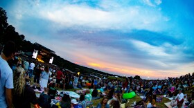 a large crowd of people watching a musical performance 