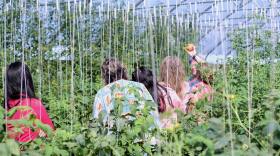 Kandy Michel, co-owner of Prairie Wind Produce in Garden City, holds up a fresh tomato to school district leaders in her farm’s greenhouse. The tour helped to show off the fruits grown in nearby towns that could be available for schools.
