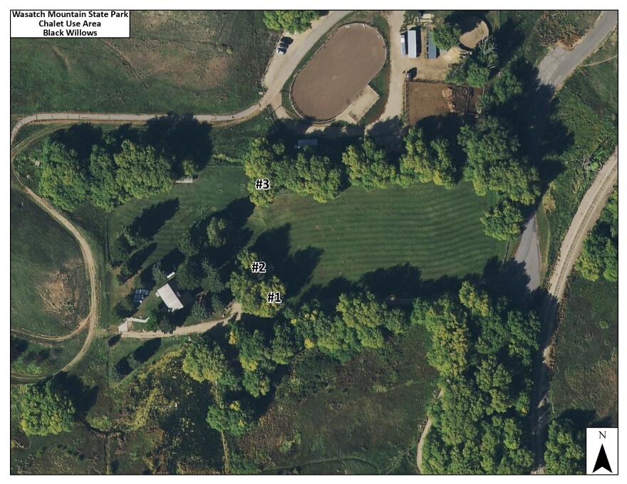 Officials showed a view from above of the trees to be cut down. The plan is to cut down 10 trees along the perimeter of a park that will be used for 10 new campsites near Midway.