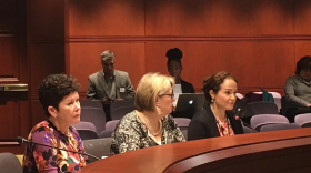 Child Advocate Sarah Eagan, right, testifies in 2017 before the Committee on Children on the death of a nonverbal Hartford teenager with autism.