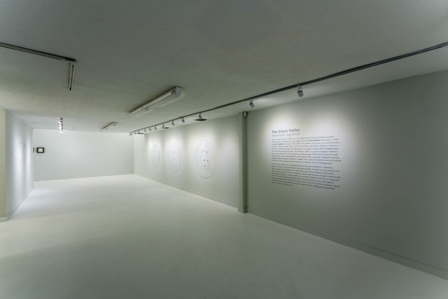 Installation view of “The Silent Paths: Medina & Tagliafico”