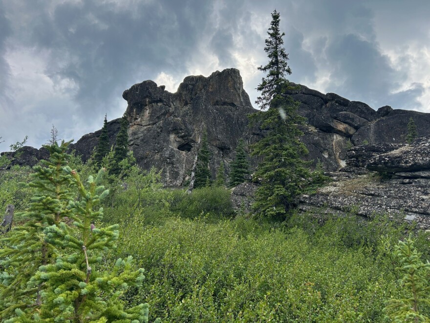 A late July thunderstorm hovers over the Granite Tors Trail east of Fairbanks.
