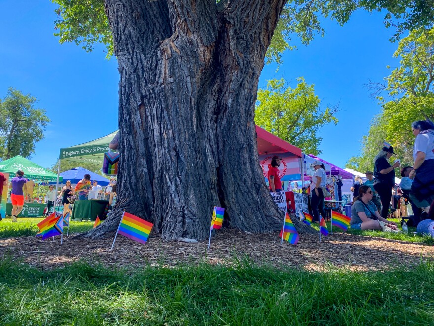 Pride flags surrounding a tree.