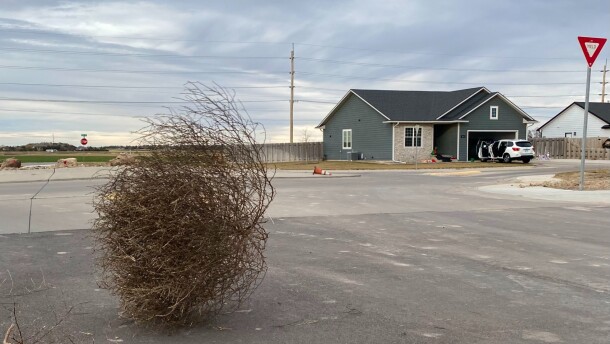 A tumbleweeds rolls through a neighborhood in Garden City, Kansas.