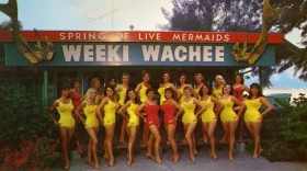 Weeki Wachee's mermaids line up before a show