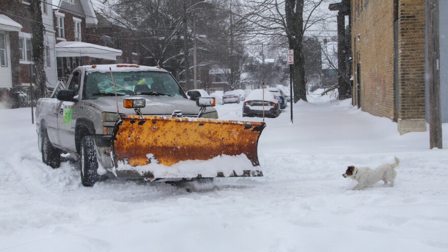 A small dog faces off against a pickup truck with a snowplow in a snowy intersection.