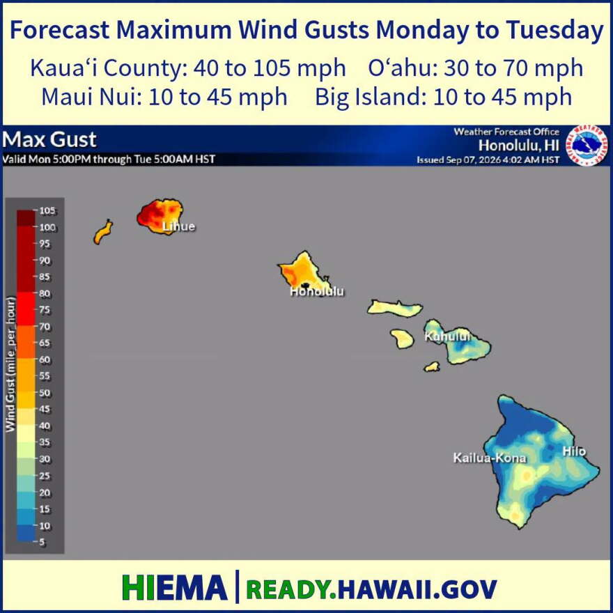 An image that shows wind gust speeds across the state.