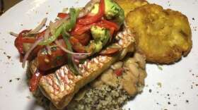 Snapper