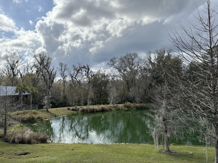 Photo of the outdoor area of Swamp Head Brewery taken on February 9, 2023. Swamp Head will host Tree Fest 2023 and the proceeds will go to planting trees. (Miguel Molina/WUFT News)