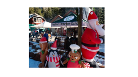 The Holiday Market is hosting artists from the Roaring Fork and Crystal River Valleys.