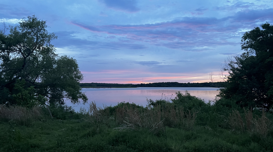 Lake Thunderbird at dusk seen through thick, green brush at the lake's edge. 