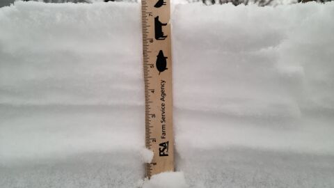 News Director Rich Egger measured nearly 7.5 inches on snow on top of his car on Saturday afternoon.