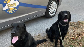 Kentucky State Police electronic detection K9s May and Cam