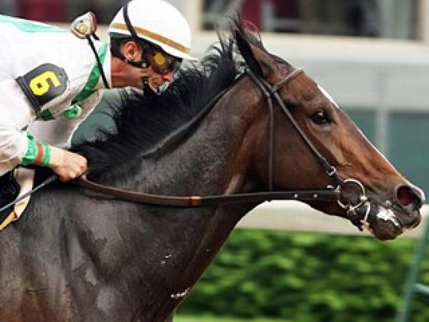 Rachel Alexandra became the first filly in over 80 years to win the Preakness Stakes in 2009, then backed that up with wins in the Haskell and the Woodward. The record-setting lady was reportedly bred to Champion, Curlin on Monday.