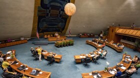 Hawaiʻi senators are seen during the discussion of the bill that will increase the state's lodging tax, Friday, May 2, 2025, at the state Capitol in Honolulu.