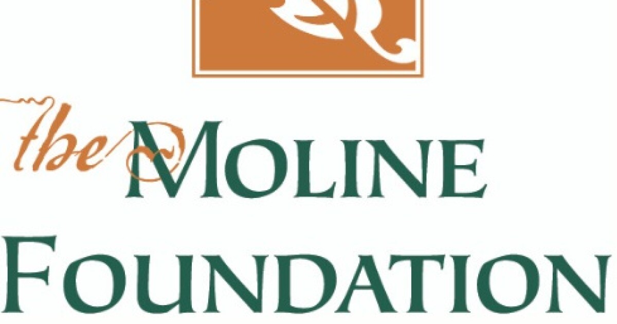 Moline Foundation Spring Grants Wvik