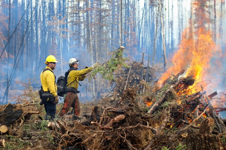 Firefighters burn piles of wood near Tok on Aug. 29.