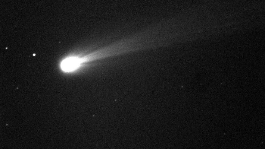 Comet ISON in an image taken on Nov. 19 by a telescope at the Marshall Space Flight Center in New Mexico.