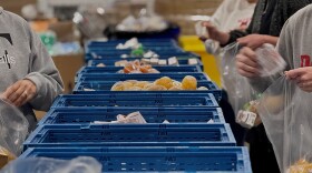 Staff at The Foodbank Inc. stand on either side of blue crates, filled with non-perishable items, to pack boxes 
