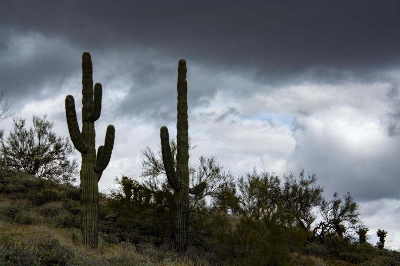 Arizona Expected to See More Rain This Week