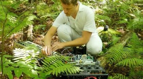 Bosey Joe will be preforming GREENWAVE at 7 p.m. on Friday, May 8, at WSCA Radio in Portsmouth.