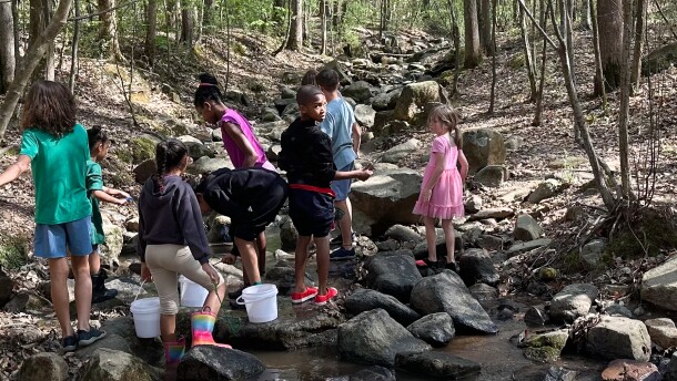 Children armed with dip nets scour Porter Branch Creek in the McDowell Nature Preserve.