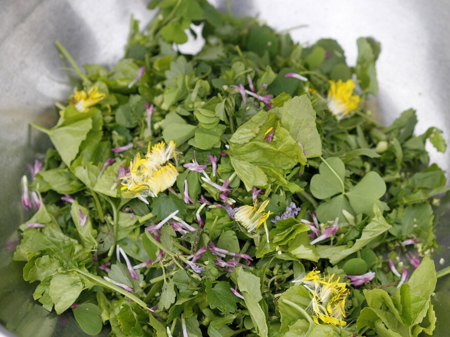 Kim and Les Hook pick most greens toward the top of a stalk, so the plants will keep growing and supplying them with fresh salad fixings all summer long.