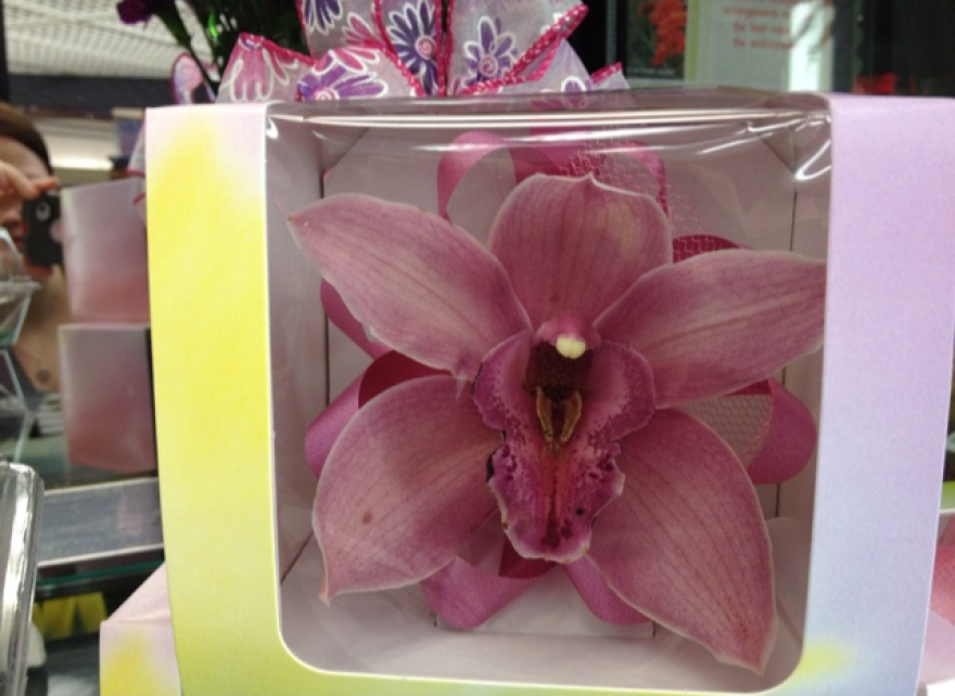 orchid_corsage_in_box.jpg.png