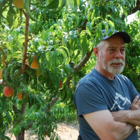 Bruce Talbott in one of his orchards in Palisade, Colorado. Talbott Farms is one of Colorado’s most productive peach growers.